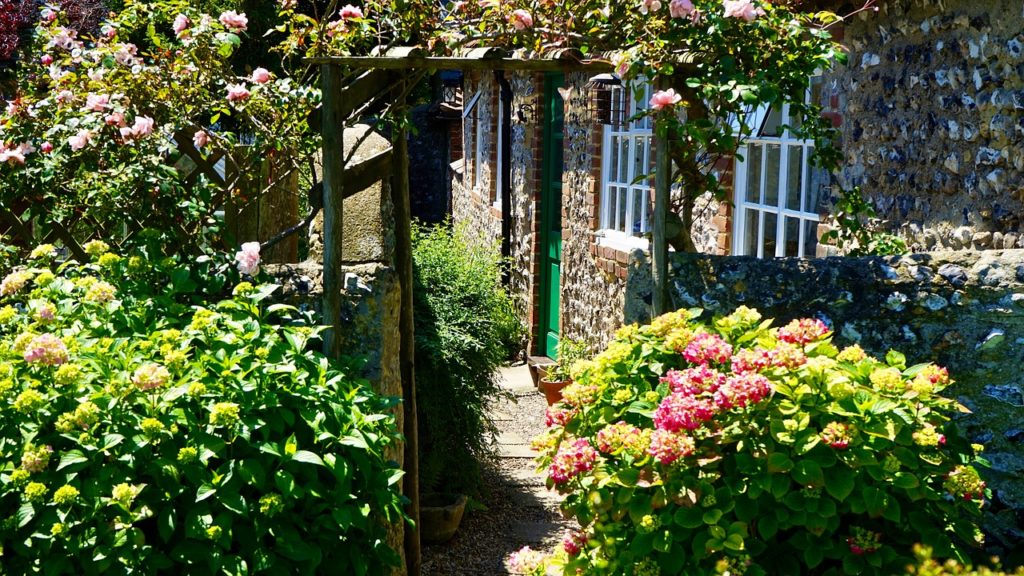 yard garden