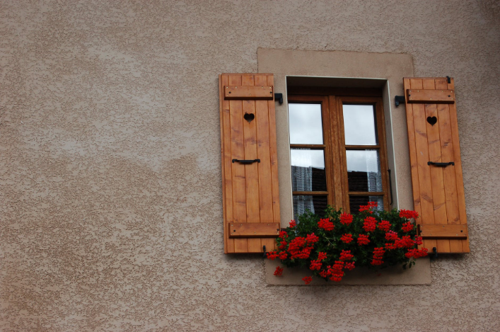 wooden window and red folowers